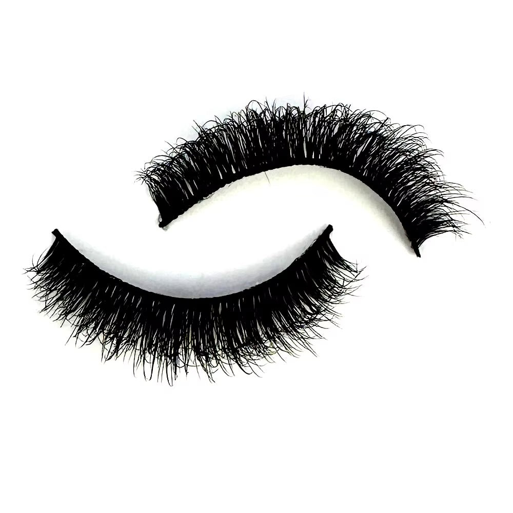 TNEA LASH